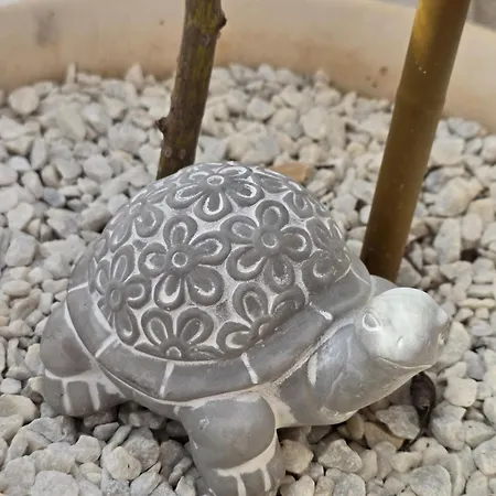 House Angelina דירה Kruševo