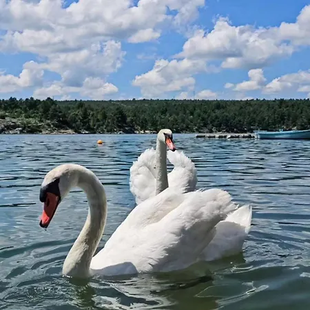 House Angelina דירה Kruševo