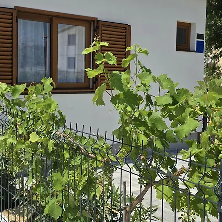 公寓 House Angelina Kruševo
