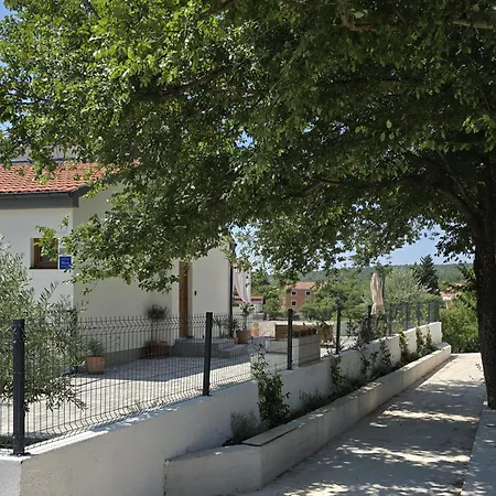 House Angelina *